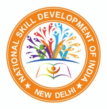 NSDI Logo